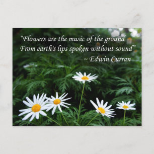 Flowers with Quotes Postcard