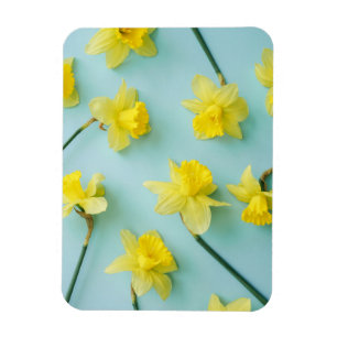 Flowers Yellow Daffodils Magnet