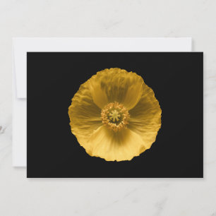 Flowers Yellow Poppy Thank You Card