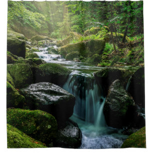 Flowing Creek, Green Mossy Rocks, Forest Nature