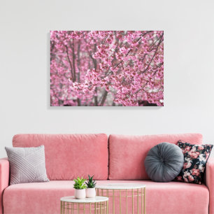 Flowing Pink Japanese Cherry Blossoms Poster Canvas Print