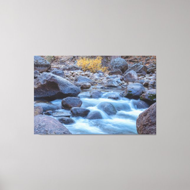 Flowing Stream Canvas Print (Front)