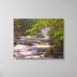 Flowing Streams Along the Appalachian Trail Canvas Print