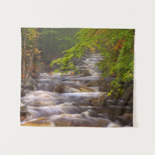 Flowing Streams Along the Appalachian Trail Tapestry