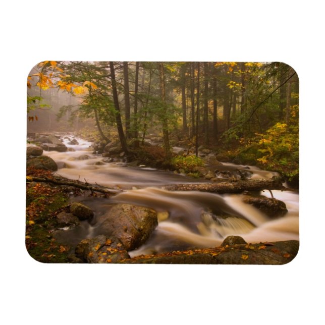 Flowing Streams Appalachian Trail | Vermont Magnet (Horizontal)