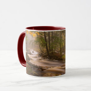Flowing Streams Appalachian Trail   Vermont Mug