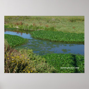 Flows of Green Poster