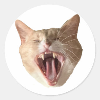 Floyd Sticker - With Mouth Open!