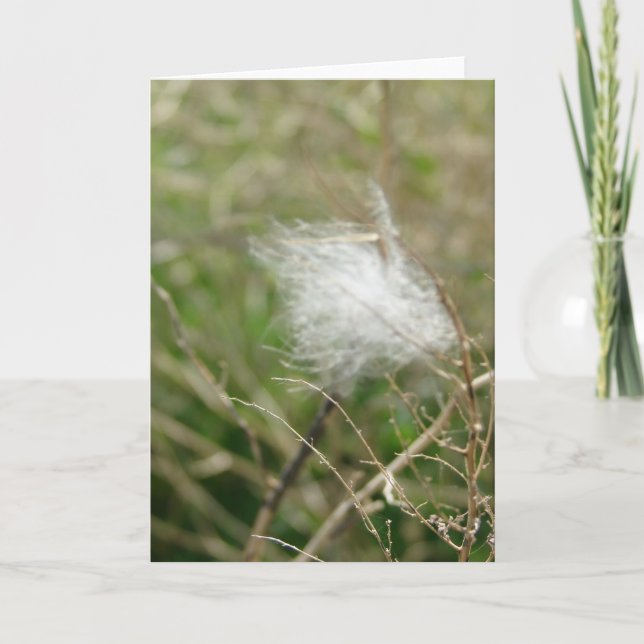 Fluff all occasions card (Front)