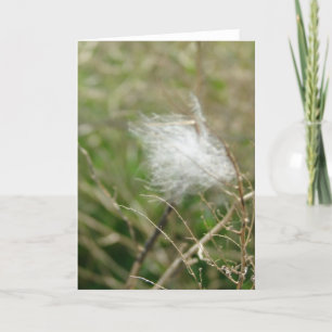 Fluff all occasions card