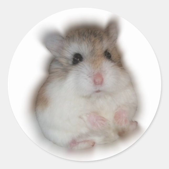 Fluff-ball - Tic Sticker (Front)