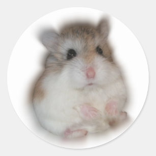 Fluff-ball - Tic Sticker