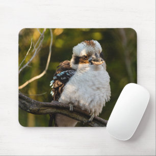 Fluffed up laughing kookaburra mouse pad