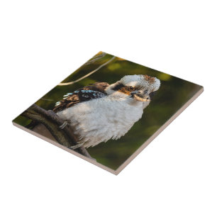 Fluffed up laughing kookaburra tile