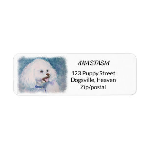 FLUFFER BLANC BICHON FRISE