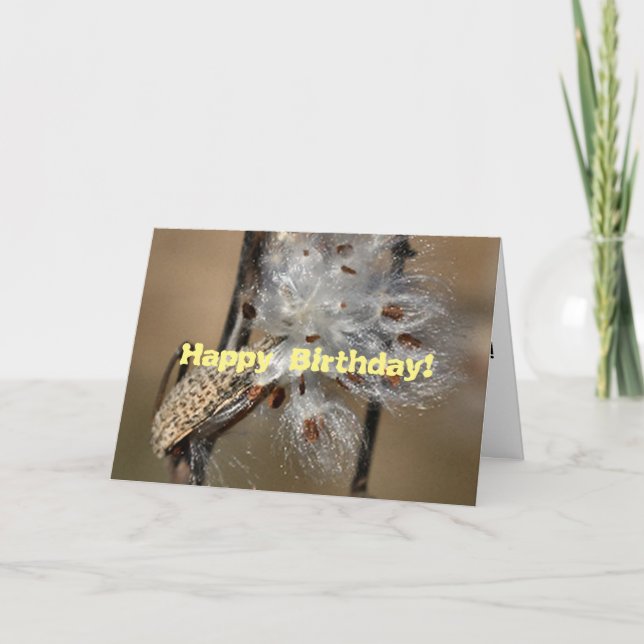 Fluffkin Birthday Card (Front)