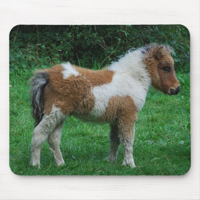 Fluffy Adorable Dartmoor Pony Mouse Pad (Front)