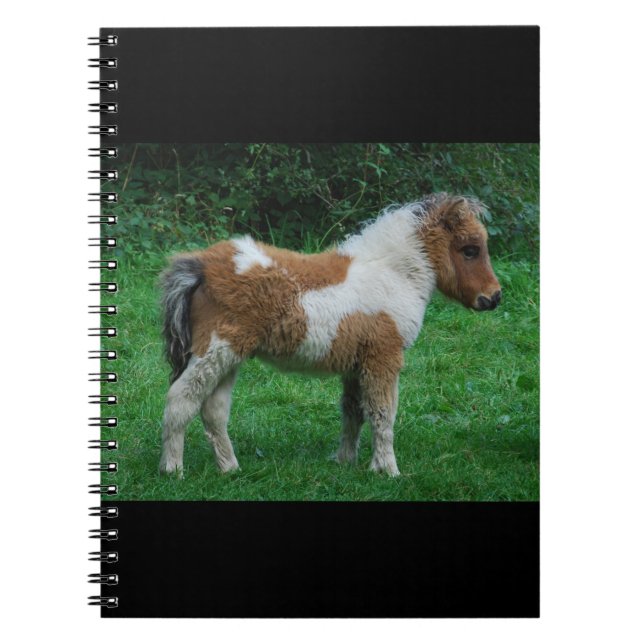Fluffy Adorable Dartmoor Pony Notebook (Front)