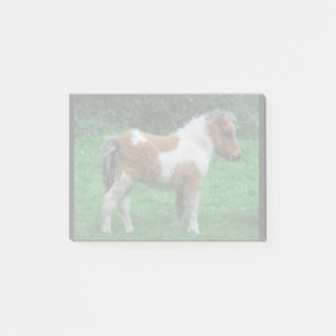 Fluffy Adorable Dartmoor Pony Post-it Notes