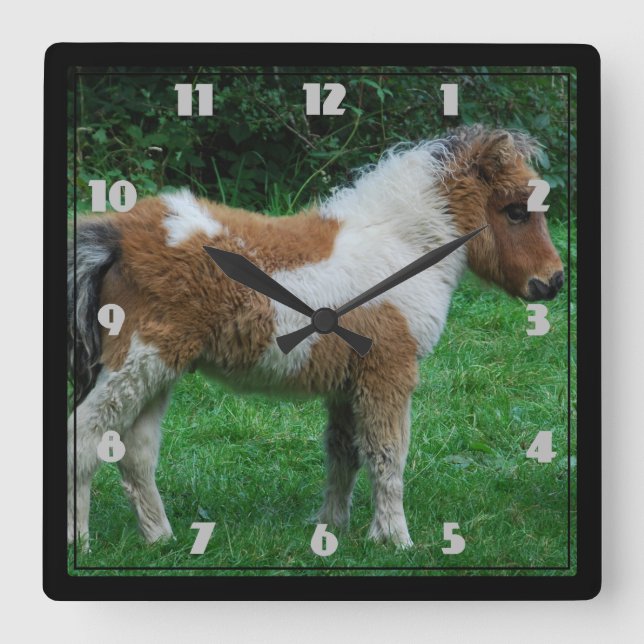 Fluffy Adorable Dartmoor Pony Square Wall Clock (Front)