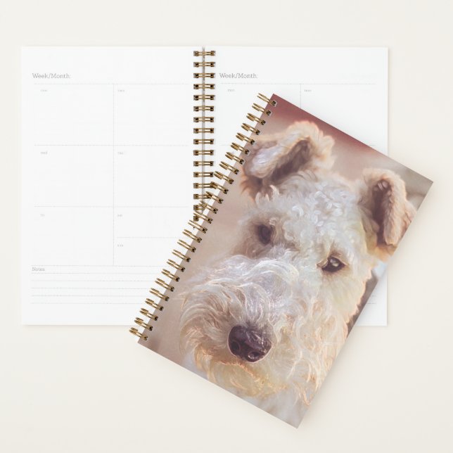 Fluffy Airedale Welsh Terrier Type Chien Chien Chi (Devant avec enveloppe)