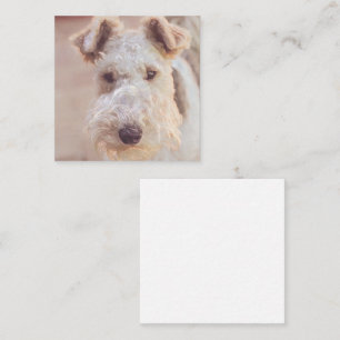Fluffy Airedale Welsh Terrier Type Dog Puppy Enclosure Card