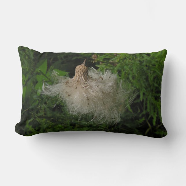 Fluffy American MoJo Coussin (Recto)