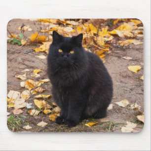 Fluffy Black Kitty and Autumn Leaves Mouse Pad