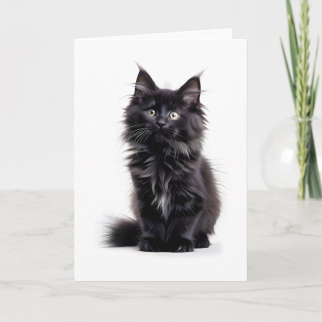 Fluffy Black Long-Haired Cat Blank Greeting Card (Front)