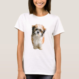 Fluffy Brown and White Shih Tzu Puppy Women T-Shirt