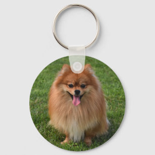 Fluffy Brown Pomeranian Puppy Dog Keychain
