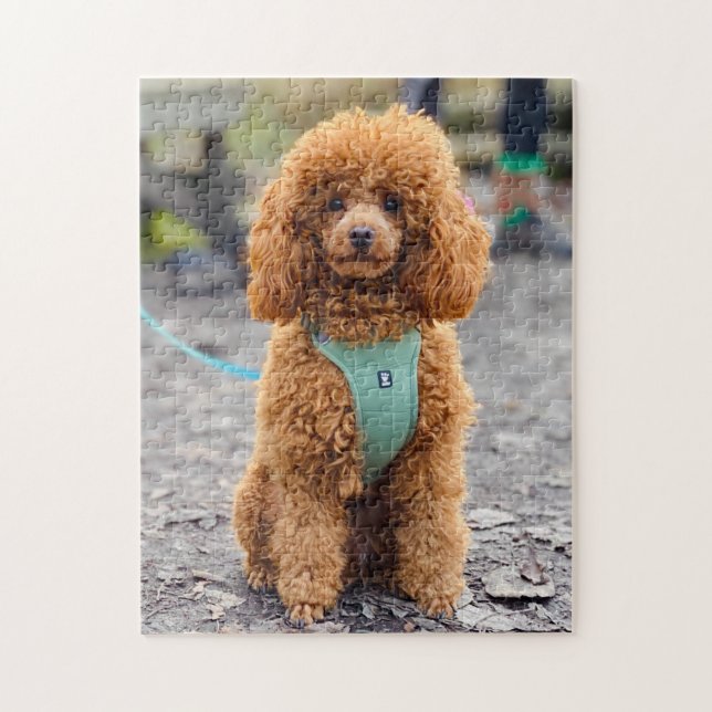 Fluffy Brown Poodle Puppy Dog Jigsaw Puzzle (Vertical)
