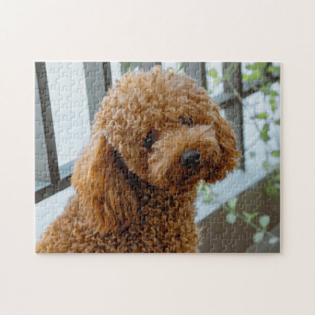 Fluffy Brown Poodle Puppy Dog Jigsaw Puzzle (Horizontal)
