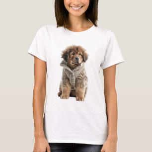 Fluffy Brown Tibetan Mastiff Puppy in a Cozy Beige T-Shirt