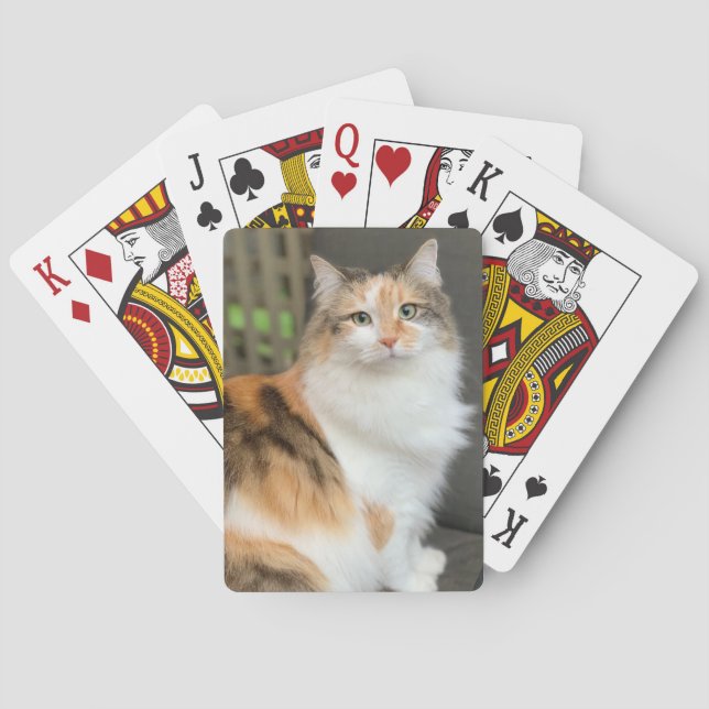 Fluffy Calico Kitty Cat Playing Cards (Back)