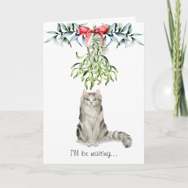 Fluffy Cat Under the Mistletoe Christmas Card (Front)