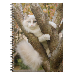 Fluffy Cat with Blue Eyes in a Tree Notebook