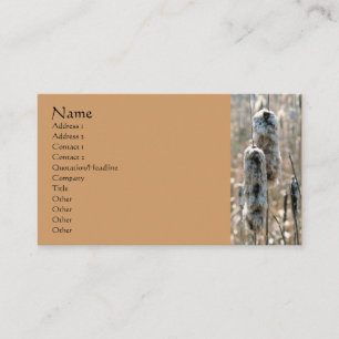 Fluffy Cattails Carte de visite de photographie de