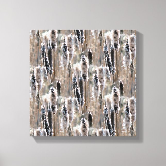 Fluffy Cattails Multiplied Nature Canvas Print (Front)