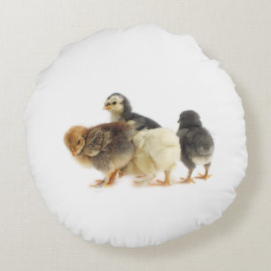 fluffy chicks round pillow