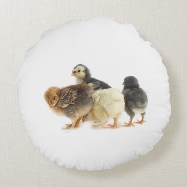 fluffy chicks round pillow (Back)