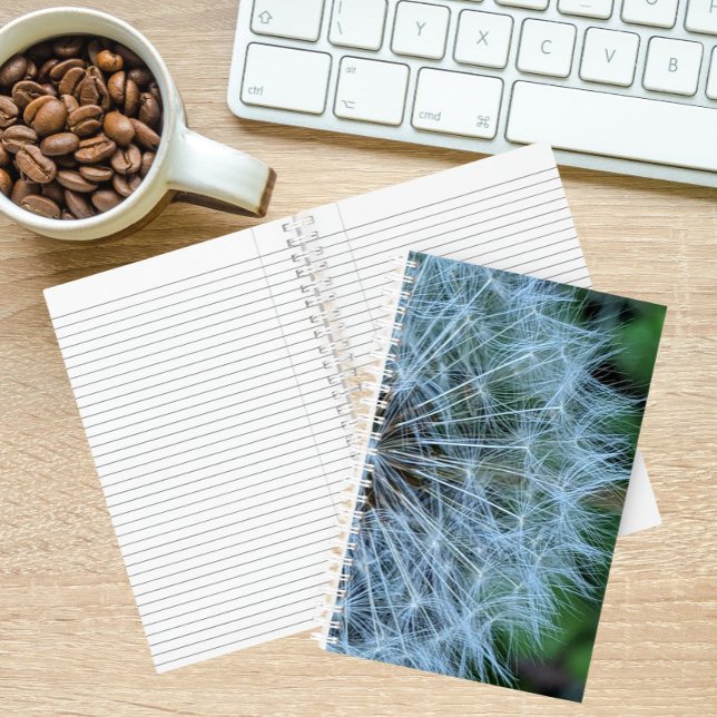 Fluffy Dandelion Seed Head Photo Notebook (In Situ)