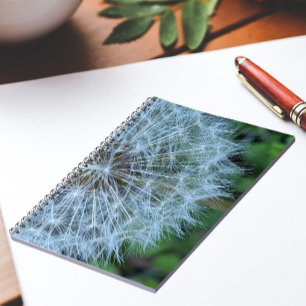 Fluffy Dandelion Seed Head Photo Notebook