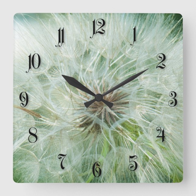 Fluffy dandelion square wall clock (Front)