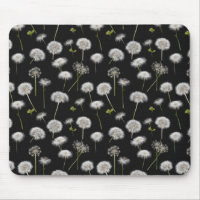 Fluffy Dandelions On Black