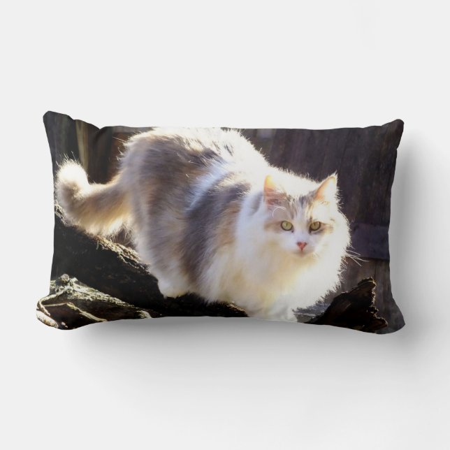 Fluffy Dilute Calico Maine Coon Cat Lumbar Pillow (Front)