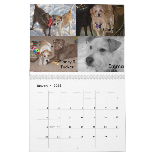 Fluffy Dog Rescue Calendar (Jan 2026)