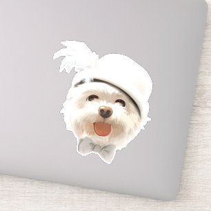 Fluffy Dog with White Hat