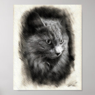 Fluffy Gray Cat Sketch - Soft Feline Portrait Art  Poster