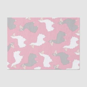 Fluffy Grey & White Llamas Tissue Paper